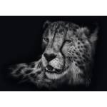 Schmidt Spiele - Puzzle Rader: Gepard - 1 000 piese