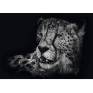 Schmidt Spiele - Puzzle Rader: Gepard - 1 000 piese