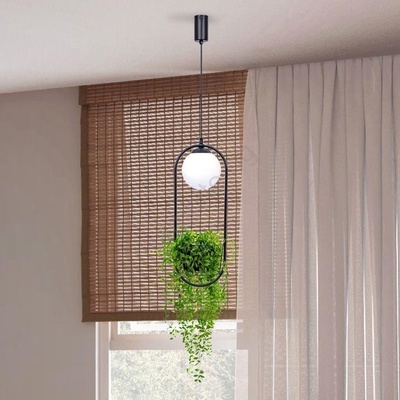 Zuma Line Plant 5003 (002177-026163)