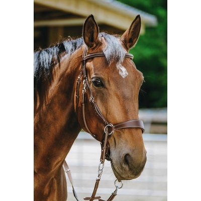 Bezudidlová uzdečka NORTON havana – Zboží Mobilmania