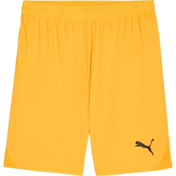 PUMA Teamgoal shorts m
