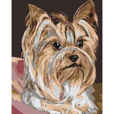 MALUJEŠ Malování podle čísel JORKŠÍRKA Rozměr 80 x 100 cm Rámování bez rámu a bez vypnutí plátna