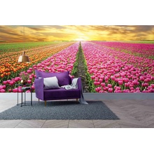 Malvis ® Tapeta Pole tulipánů, rozměry 144 x 105 cm