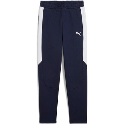 Puma TEAMEVOSTRIPE PANTS 659956-06