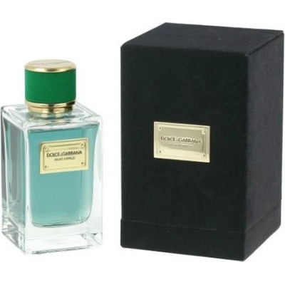 Dolce Gabbana Velvet Cypress parfumovaná voda unisex 150 ml