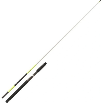 Daiwa Sealine X'Treme Interline 2,35m 30-50lb 2 díly