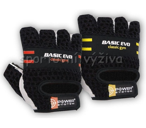 Power System Basic Evo