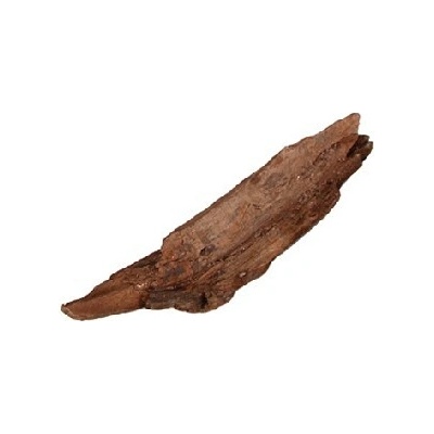 Tommi Koreň desert driftwood XS 15-20 cm