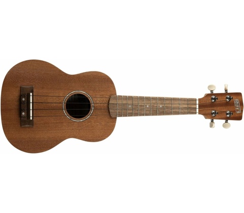 Henry`s Instruments HEUKE10M-S01