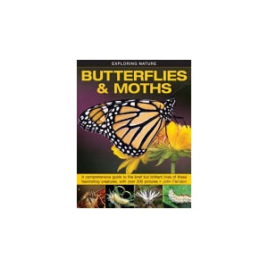 Exploring Nature: Butterflies & Moths | John Farndon (ISBN: 9781861474070)