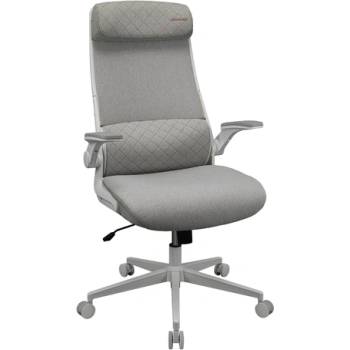 Image 1 of COUGAR Геймърски стол COUGAR GAMING COUGAR Stryder White Gaming Chair (CGR-STD-ASW)