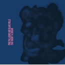 Pino Palladino And Blake Mills - That Wasn't A Dream CD