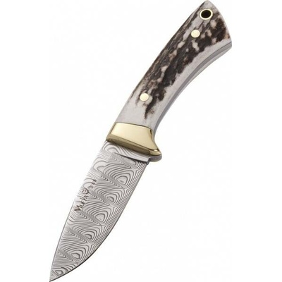 Muela Colibri COL-7DAM