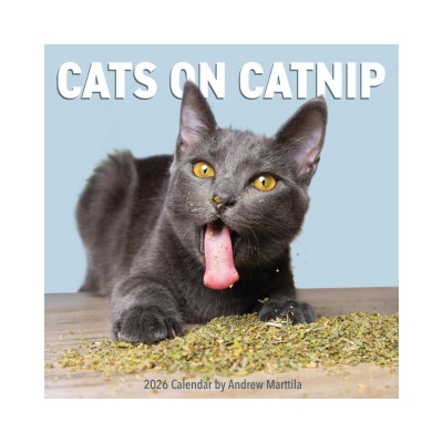 WORKMAN Cal 26 cats on catnip | wall