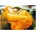 EUROGRAPHICS - Puzzle Leighton: Flaming June - 1 000 piese