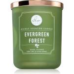 DW HOME Signature Evergreen Forest ароматна свещ 445 гр