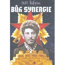 Bůh synergie - Šifrin Jiří