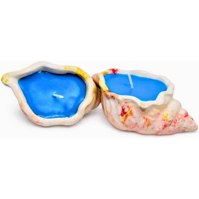 Svíčkománie3D Mušle v betonu 50 ml