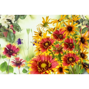 DIMEX ART Флизелинов фототапет цветя в градината 375 x 250 см