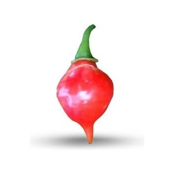 Semínka Piquant Paprička chilli PEITO DE MOCA