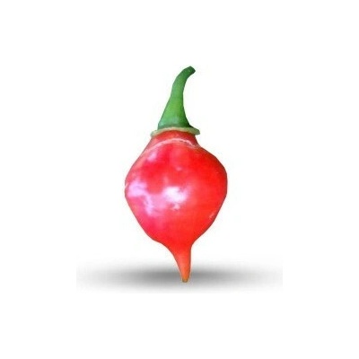 Semínka Piquant Paprička chilli PEITO DE MOCA