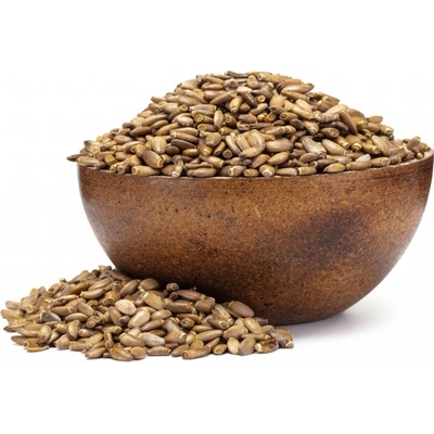 Grizly Pestrec plod celý 500 g