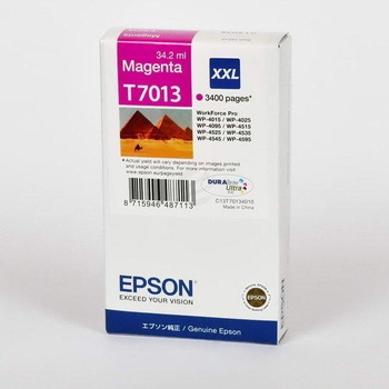 Epson T7013