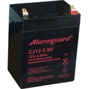Alarmguard 12V 2,9Ah CJ12-2,9H