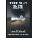 Techniky snění - Arnold Mindell