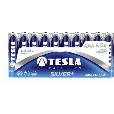 TESLA SILVER+ AAA 10ks 13031010