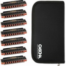 Cascha Professional Blues Harmonica Set