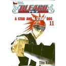 Bleach 11