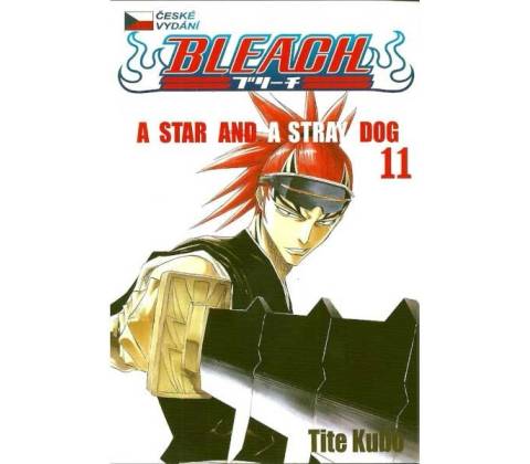 Bleach 11