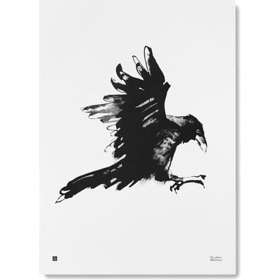 Plakát Raven velký 50x70 cm Teemu Järvi Illustrations