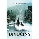 Volání divočiny