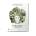 Паста фетучини BASIL & LEMON 250 g, Greenomic (GREE3013)