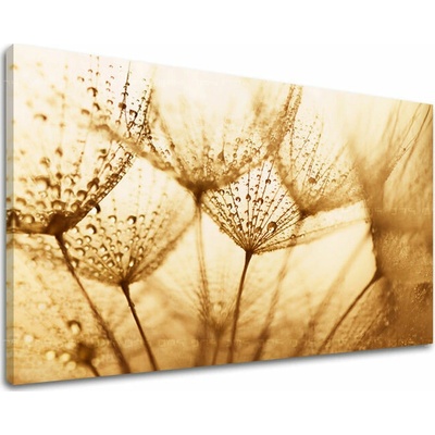 Obraz na stenu KVETY - 100x150 cm