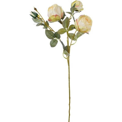 KS RUŽA 4-PUKY KRÉM 62cm