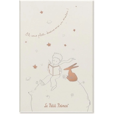 Moleskine Sada Le Petit Prince A5 zápisník a diář