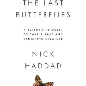 Last Butterflies | Nick Haddad (ISBN: 9780691217178)
