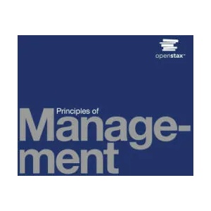 Principles of Management | David S. Bright, Anastasia H. Cortes (ISBN: 9786762194553)