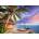 Trefl - Puzzle Bora-Bora Island - 500 piese