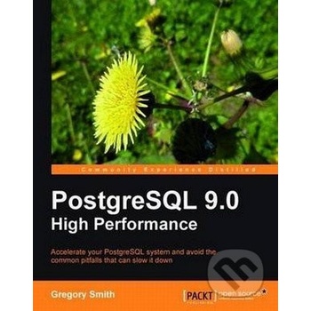 PostgreSQL 9.0 High Performance