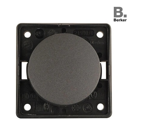 Berker 321/255