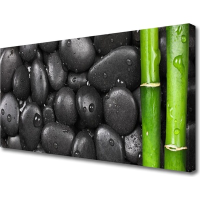 Obraz Canvas Bambus stonka kamene 100x50 cm