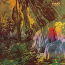 Wake - Thought From Descent - CD
