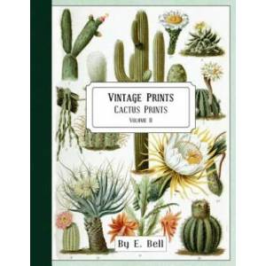 Vintage Prints: Cactus Prints | E Bell (ISBN: 9781986193504)