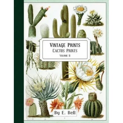 Vintage Prints: Cactus Prints | E Bell