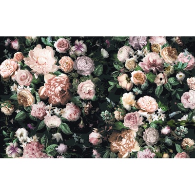 Komar Vliesová fototapeta Victoria Black rozměry 400 x 250 cm