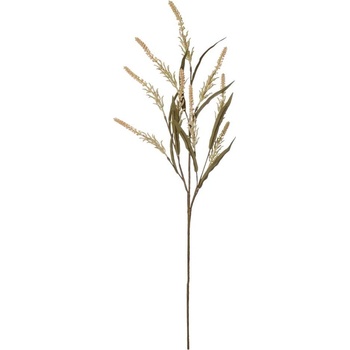 KONÁR SOLIDASTER KRÉ/ORA 85CM